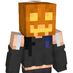 ExpiredBL Minecraft avatar bust