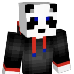 F1NN_21 Minecraft avatar bust