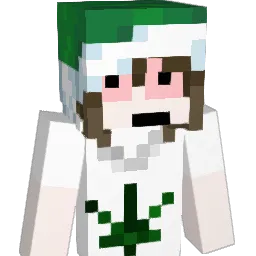 F1ssurita Minecraft avatar bust