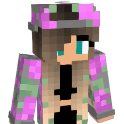 F4E_BramX Minecraft avatar bust