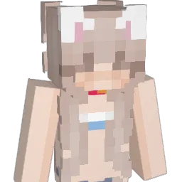 F4bS0n_ Minecraft avatar bust