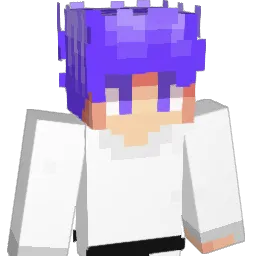 F4stSkyLine Minecraft avatar bust