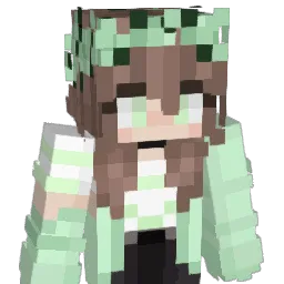 FEAEKC3 Minecraft avatar bust