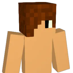 FEDDERATION Minecraft avatar bust