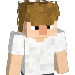 FERRlS Minecraft avatar bust