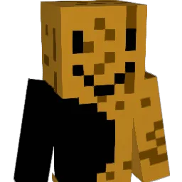 FFEMinecraft11