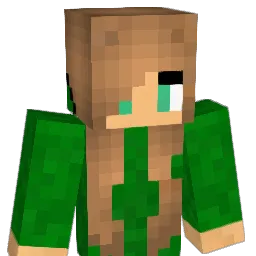 FGGT123's Minecraft skin
