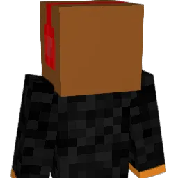 FG_1X Minecraft avatar bust