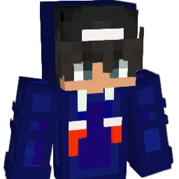 FIN54 Minecraft avatar bust