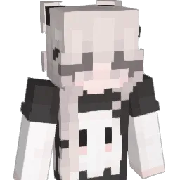 FINNSHARKSS Minecraft avatar bust