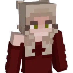 FINsnp11 Minecraft avatar bust