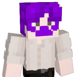 FITZH8 Minecraft avatar bust