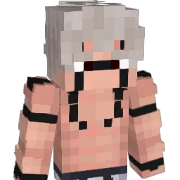 FJleak Minecraft avatar bust