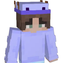 FN_A Minecraft avatar bust