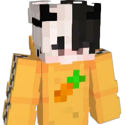 FORD1593 Minecraft avatar bust