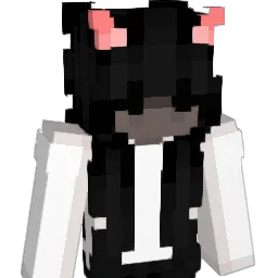 FOXIDOX2010 Minecraft avatar bust