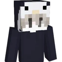 FPunkt14 Minecraft avatar bust