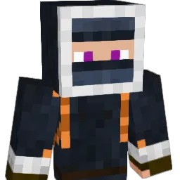 FR12 Minecraft avatar bust