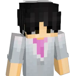 FR4NC0M Minecraft avatar bust