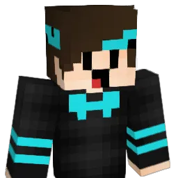 FREL_NICE Minecraft avatar bust