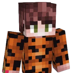 FRVNKpidr Minecraft avatar bust