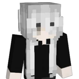 FSLNG's Minecraft skin
