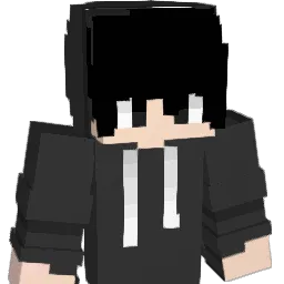 FULLBADGER29029 Minecraft avatar bust