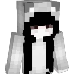 FYhig Minecraft avatar bust