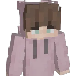 F_oxi Minecraft avatar bust