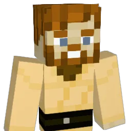 FaBrO23 Minecraft avatar bust