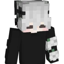 Fa_zoo Minecraft avatar bust