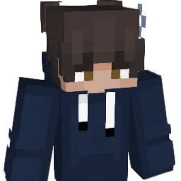Fabry63 Minecraft avatar bust