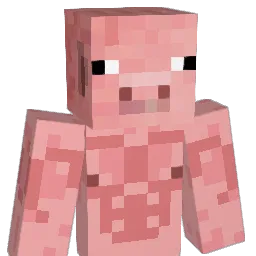FaceSepsis