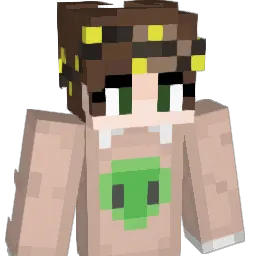 FailedTurtle Minecraft avatar bust