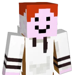 Fakesan Minecraft avatar bust