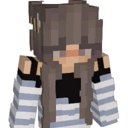 Fan5i Minecraft avatar bust