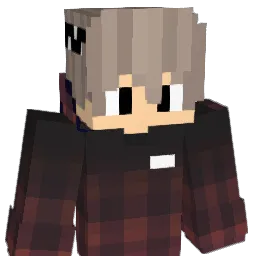FanPeintre77 Minecraft avatar bust