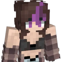 Fancysky Minecraft avatar bust
