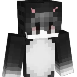 Fanjaa's Minecraft skin