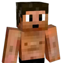 Fanseee Minecraft avatar bust