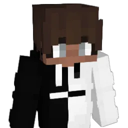 FarmtownTigers11 Minecraft avatar bust