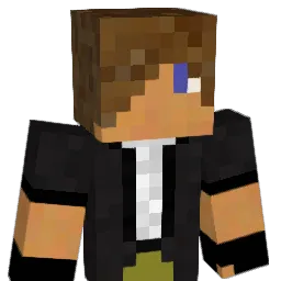 FartyN1 Minecraft avatar bust