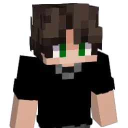 FastTomTom12's Minecraft skin