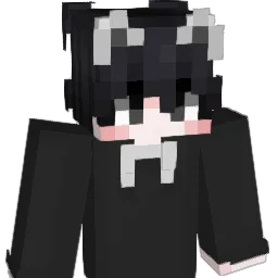 Fast_pinguin