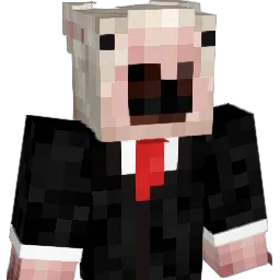 Fasu_pala Minecraft avatar bust