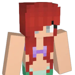 FatBasho Minecraft avatar bust