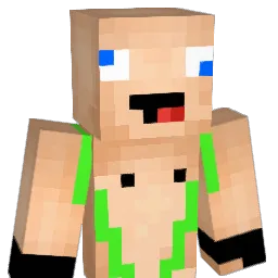 FatWeeny Minecraft avatar bust