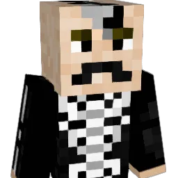 FeAbi6 Minecraft avatar bust