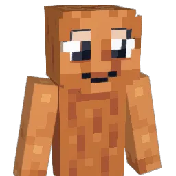 FeatAmoeba6598 Minecraft avatar bust