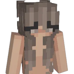 Fedde058 Minecraft avatar bust